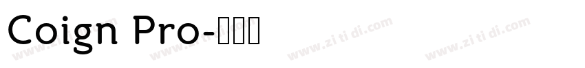 Coign Pro字体转换